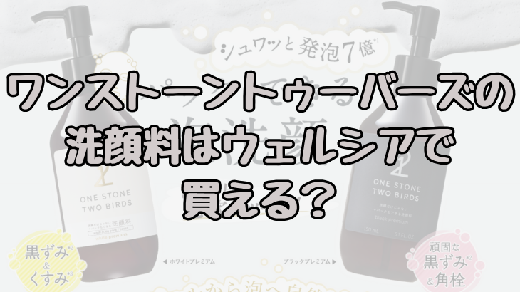 ワンストーントゥーバーズの洗顔料はウェルシアでも買える？